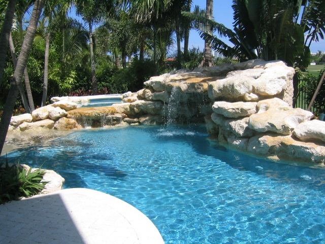 Custom pool with tropical landscaping